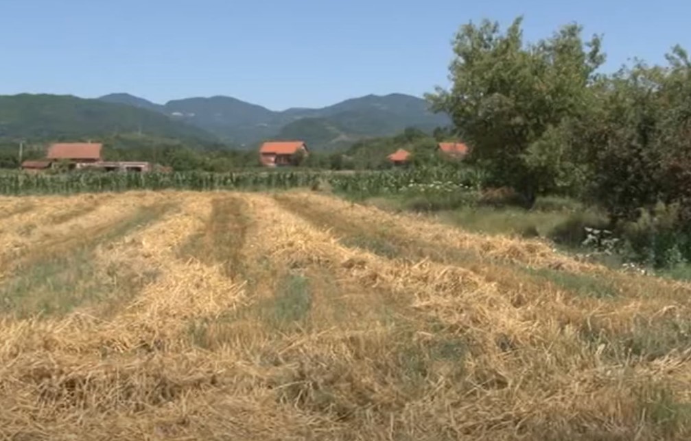 Клица за будућност: Ратарство